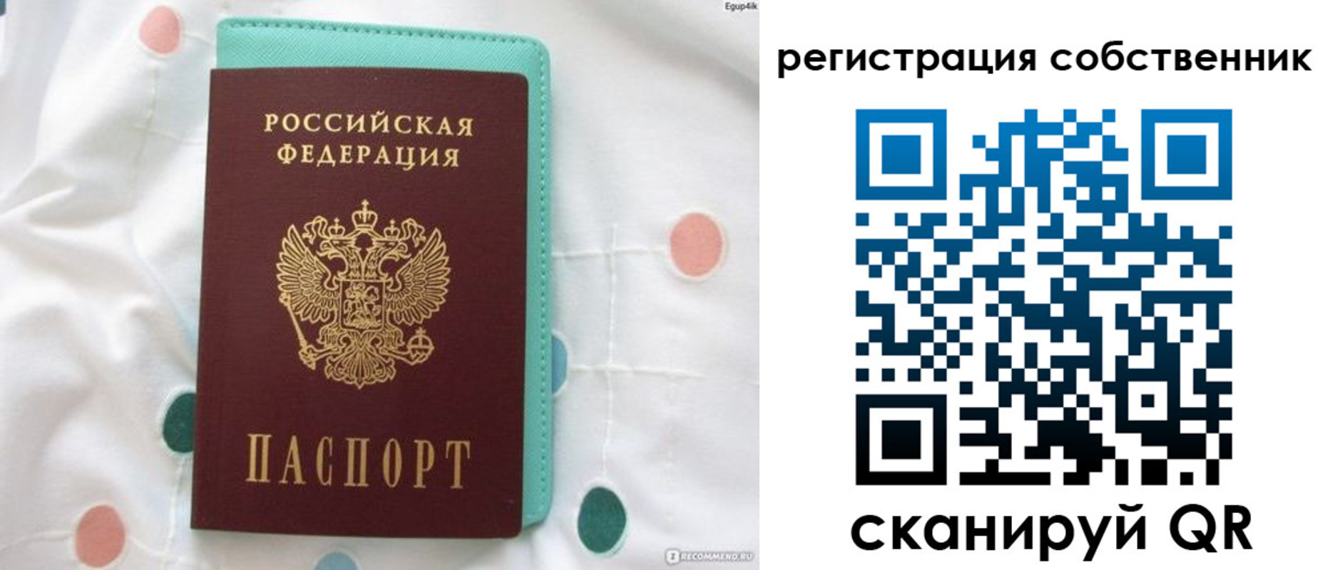 прописка для школы в Протвино